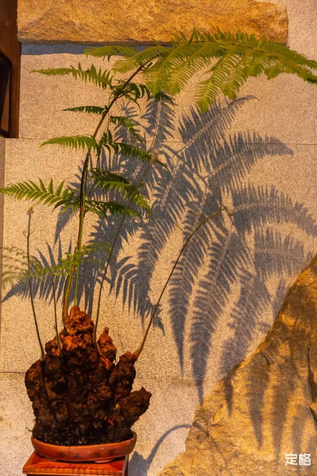 深圳古风拍照场地,广东深圳古风拍照推荐