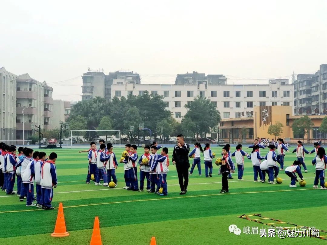 小学体育大单元教学实施效果,小学体育新课标大单元教学计划