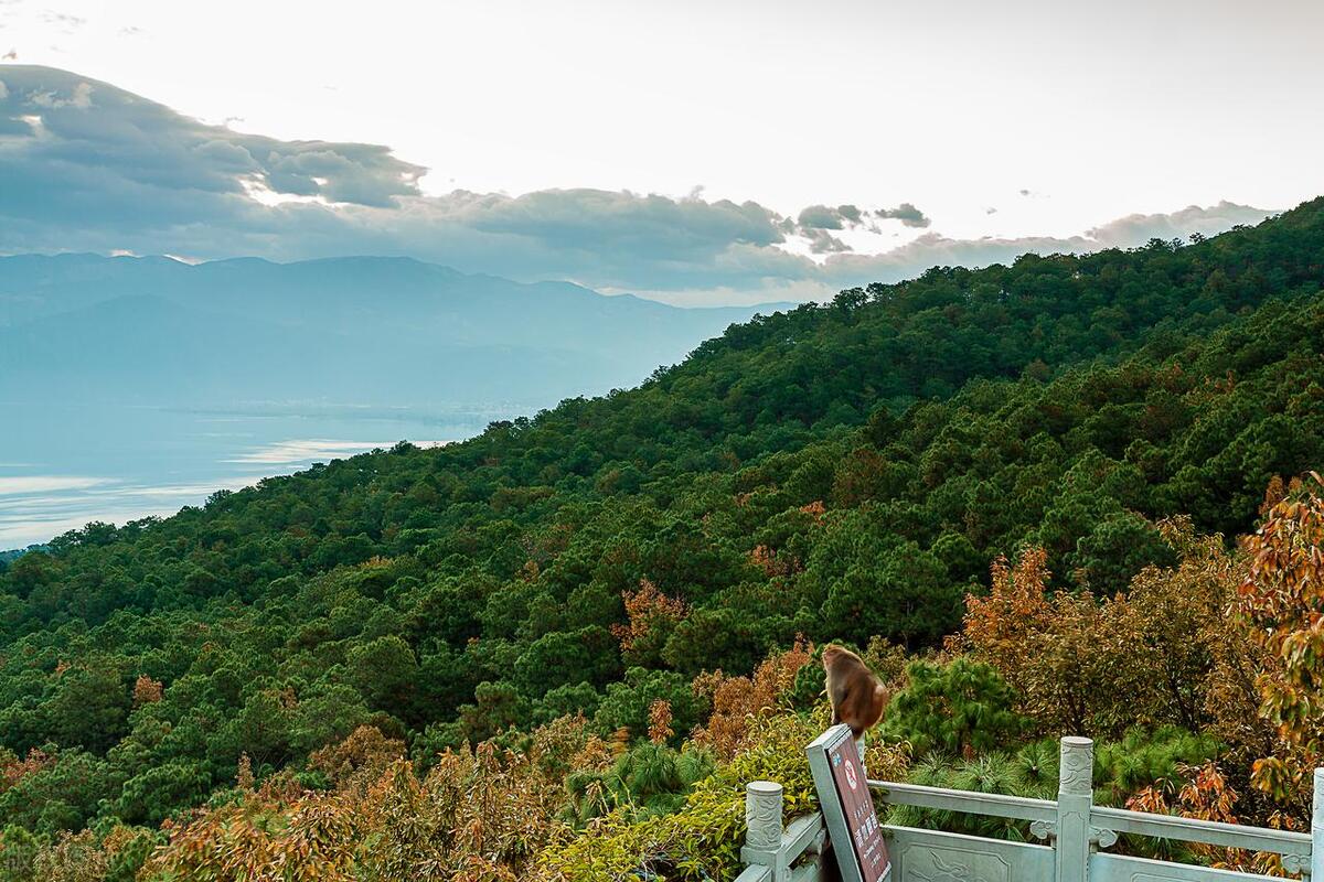 四川容易被忽视的市,四川最被低估的景区