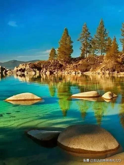 难得一见绝美一清二楚郁金香壁纸,难得一见雪景壁纸