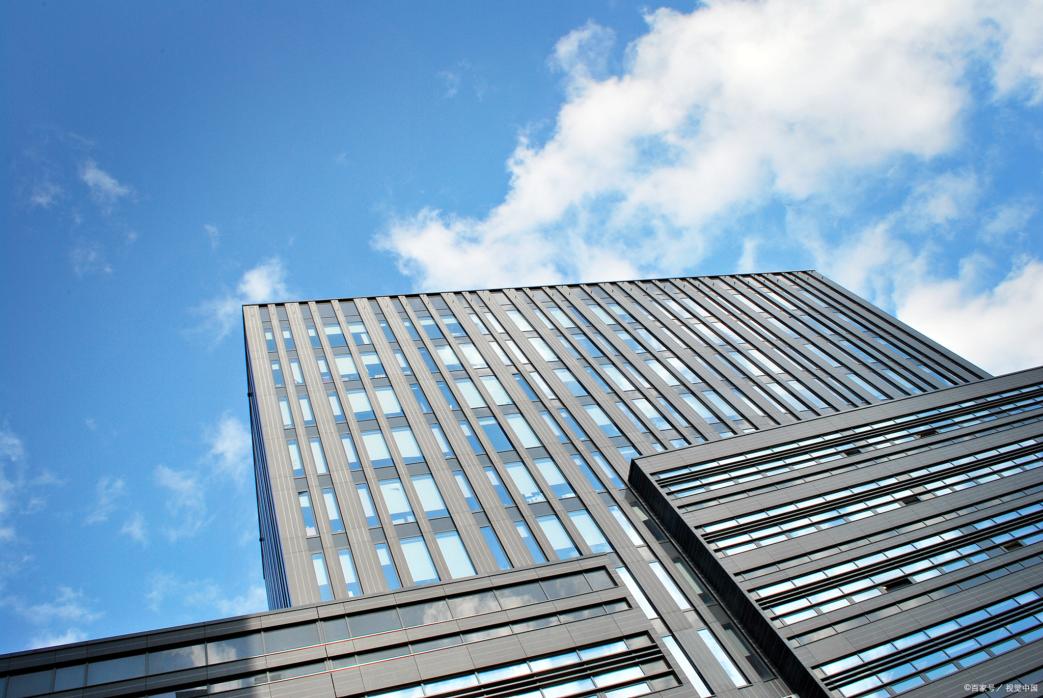 性别平等与收入平等,性别平等中的就业平等是指