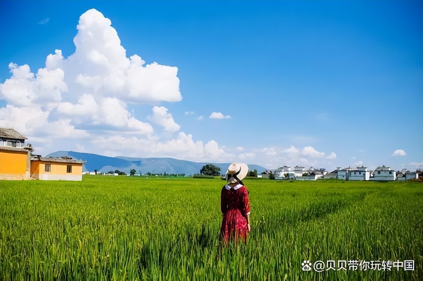 云南丽江古城旅游攻略自由行攻略,云南丽江游玩攻略详细攻略