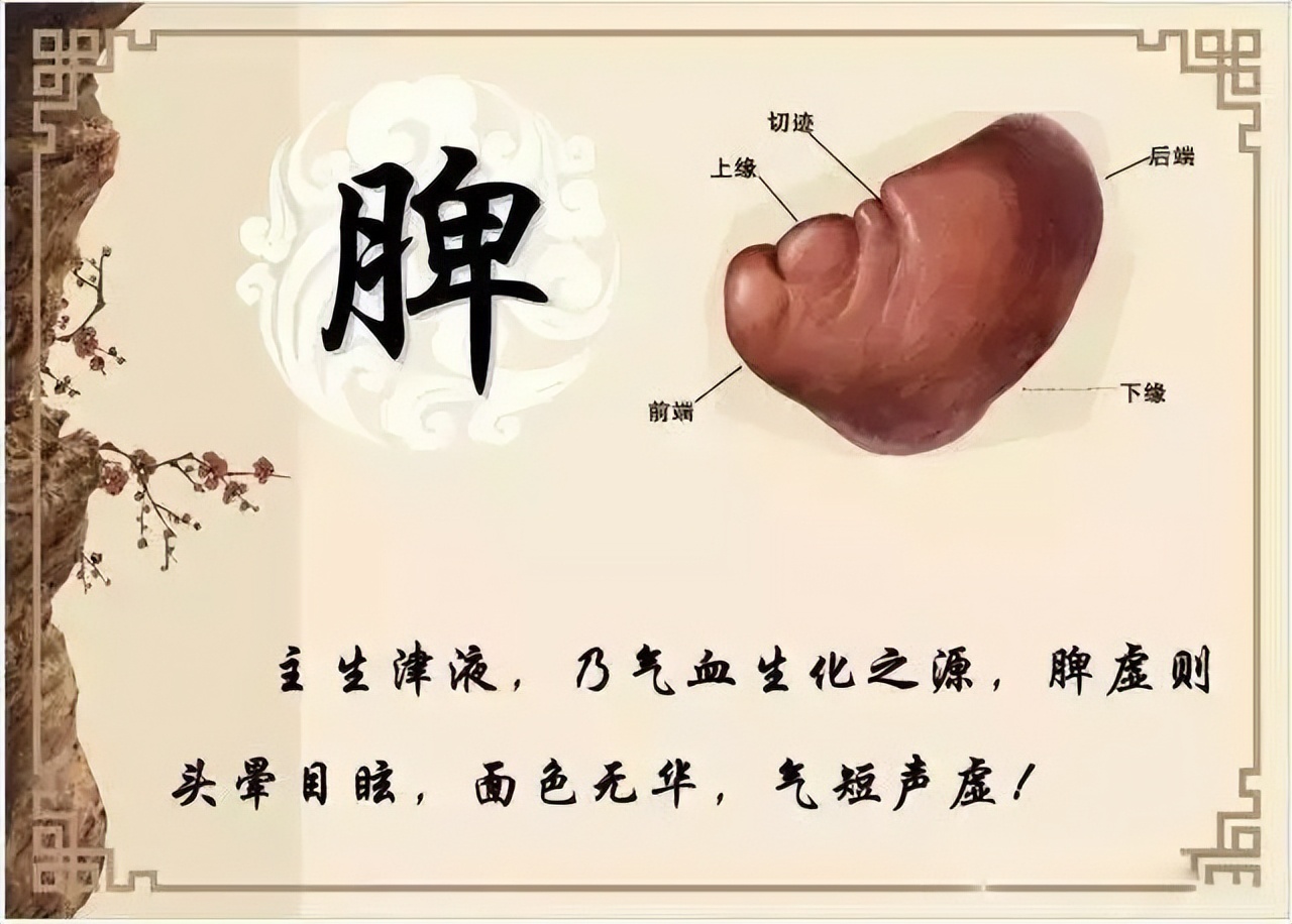 世间咽炎,皆因用情太深!一张经典方,理气+消痰,化解慢性咽炎