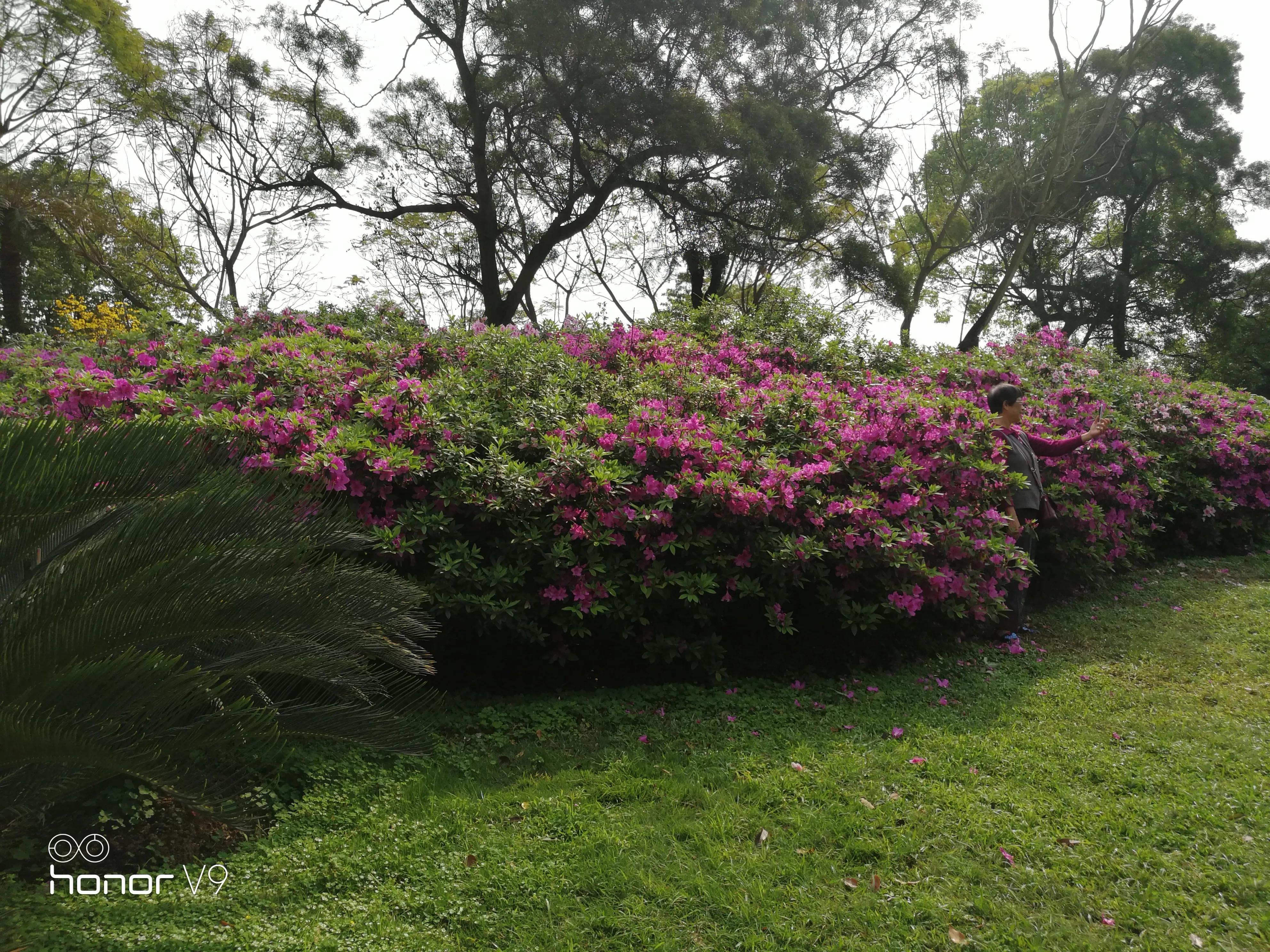 投资股票基金需要掌握的基础知识,投资股市只亏不赚