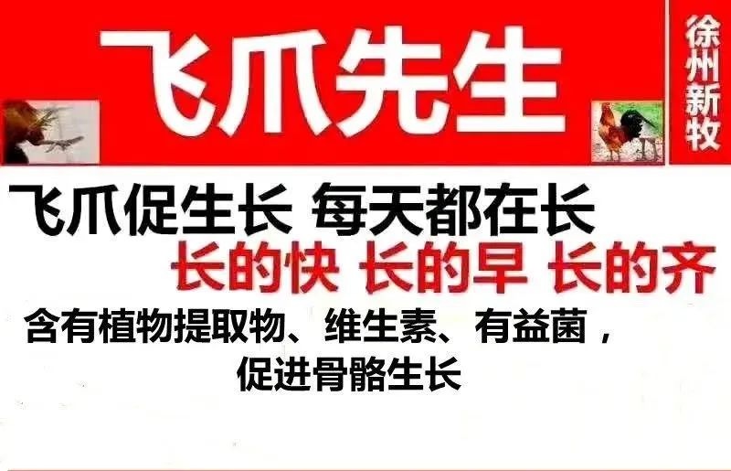 如何可以让鸡快速的长出脚蹬子,鸡的脚蹬子如何快速生长