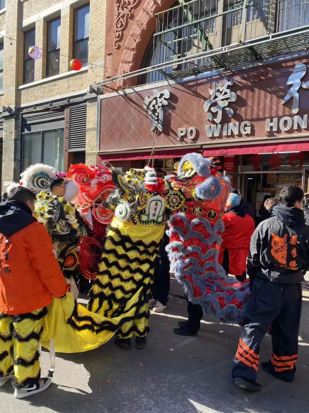 春节成为纽约市法定假日，海外蔡李佛弘扬中国文化不遗余力！