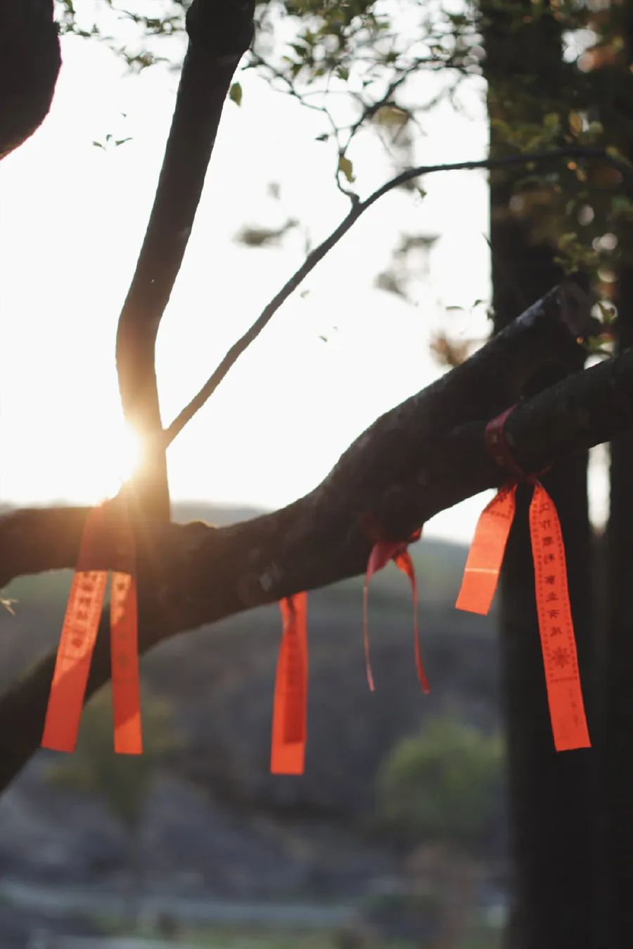 中国人对时间的雅称,中国人对时间的解读