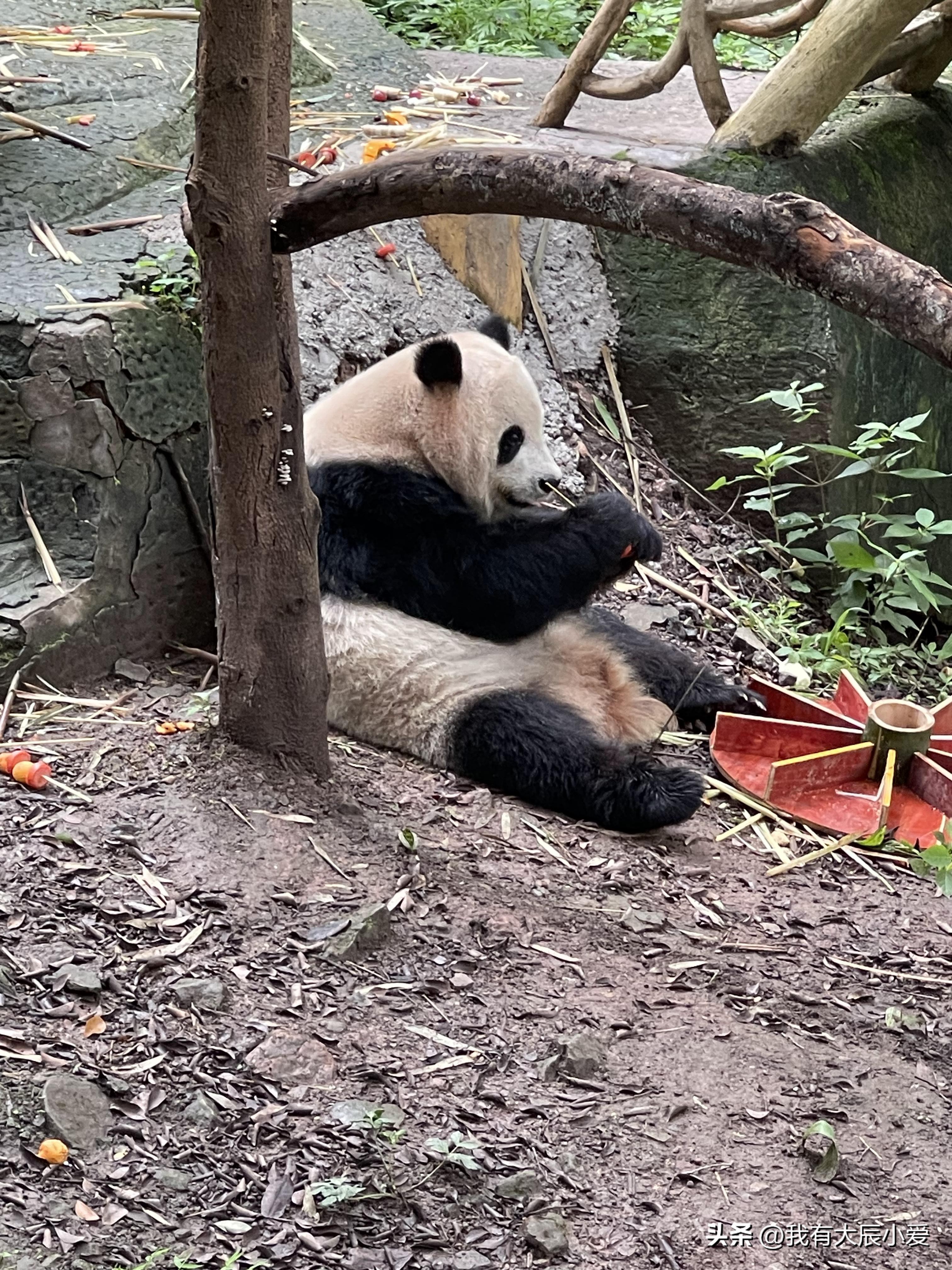 重庆不能去的区,重庆荒废城市