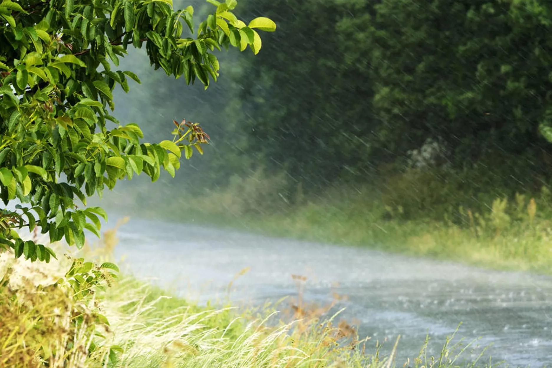夏天的雨散文,夏天的雨拟人句