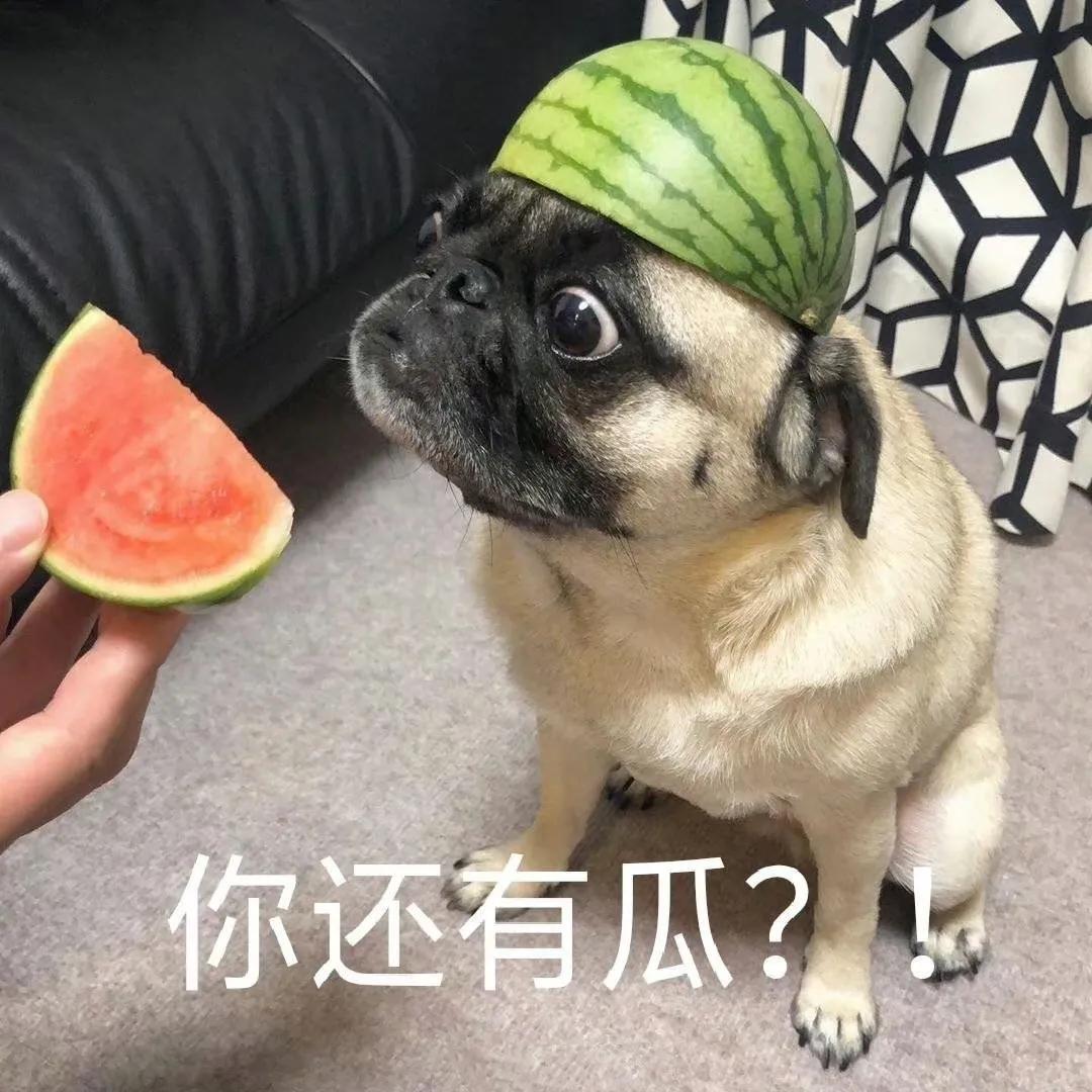 吃瓜群众表情包组成教程,看穿一切的吃瓜群众表情包