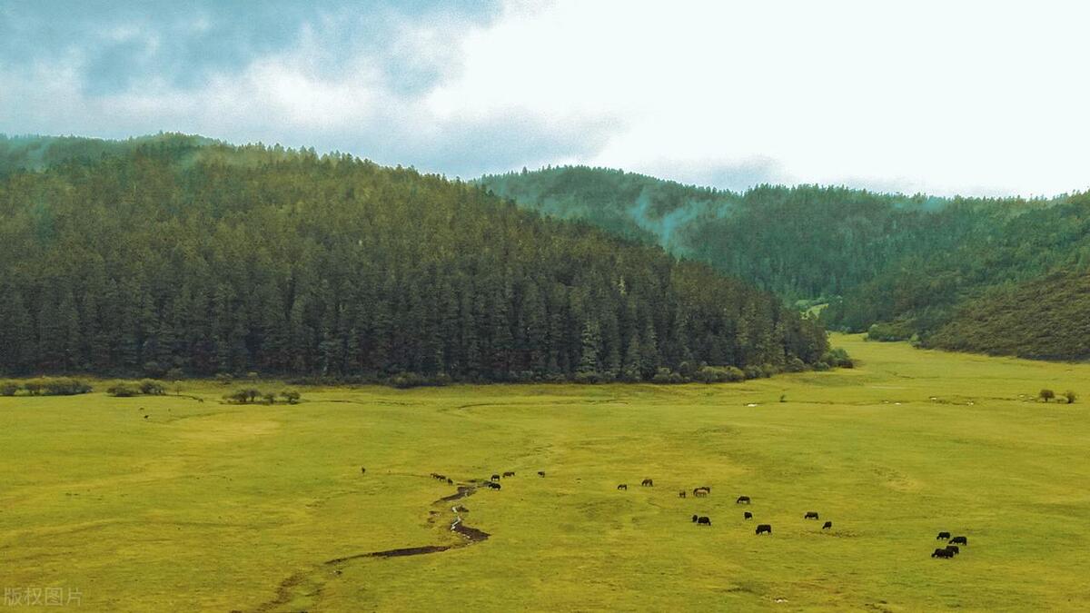 香格里拉最值得去的景点排名,香格里拉旅游必去的十大景点