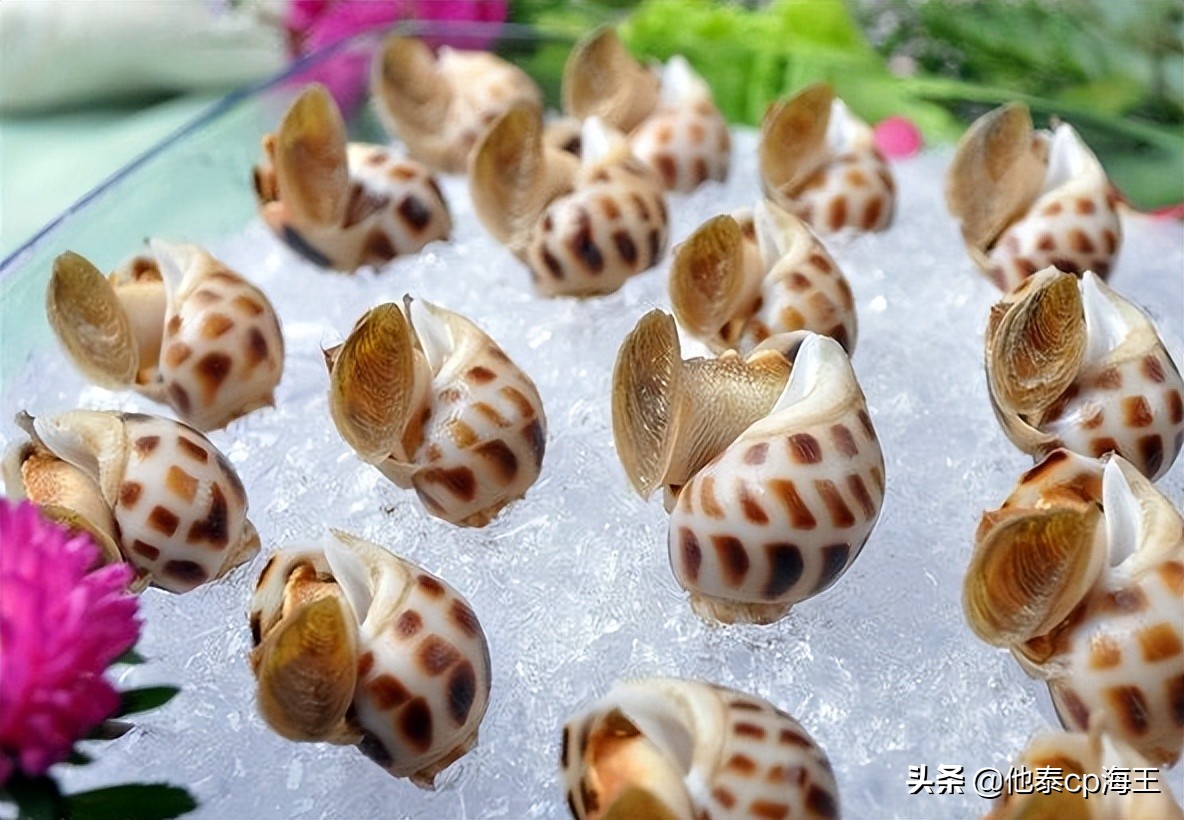 花螺的正确吃法什么地方不能吃,花螺怎么吃好吃