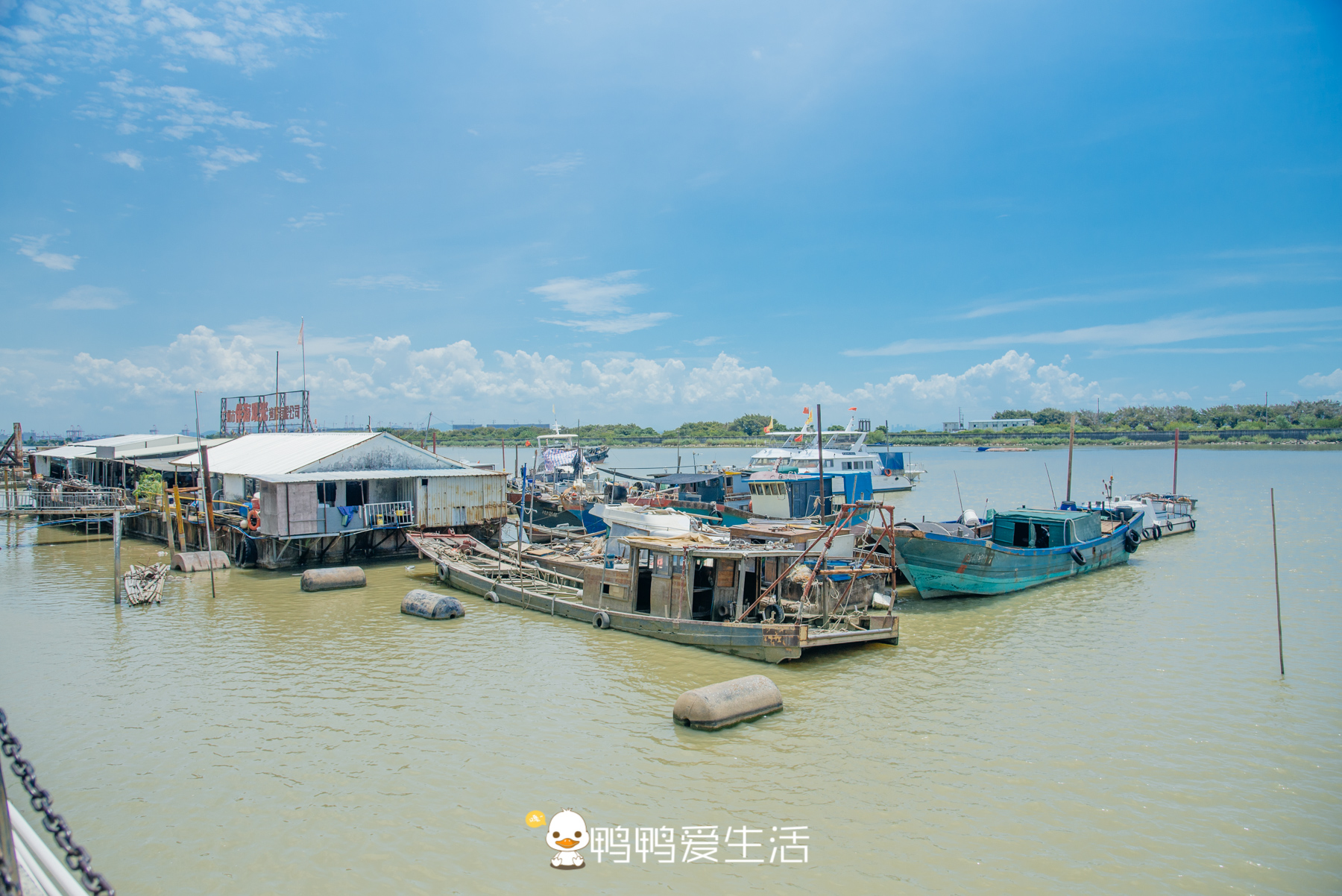 南沙十九涌渔人码头路边海鲜,广州十九涌海鲜码头