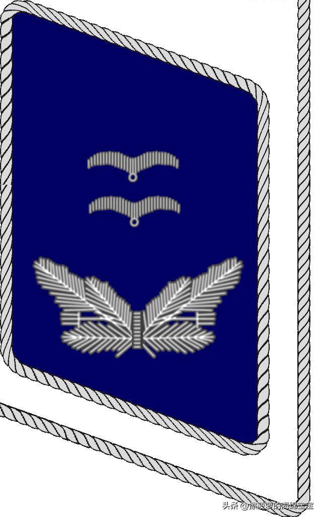 二战德国国防军医疗兵军衔标志