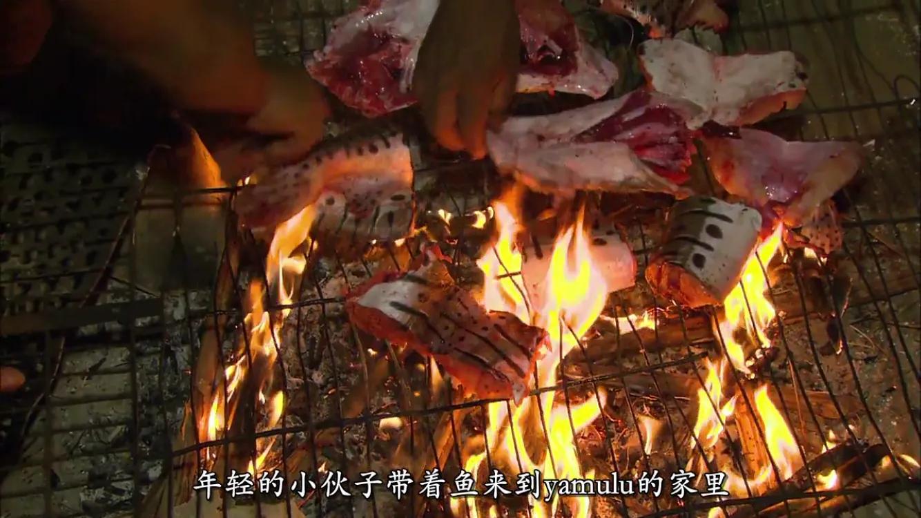 原始人吃什么最好呢,原始人的食物特征