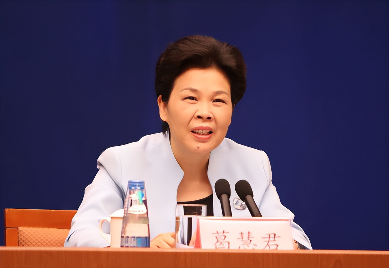 地方“四套班子”中的7位正省部级女将