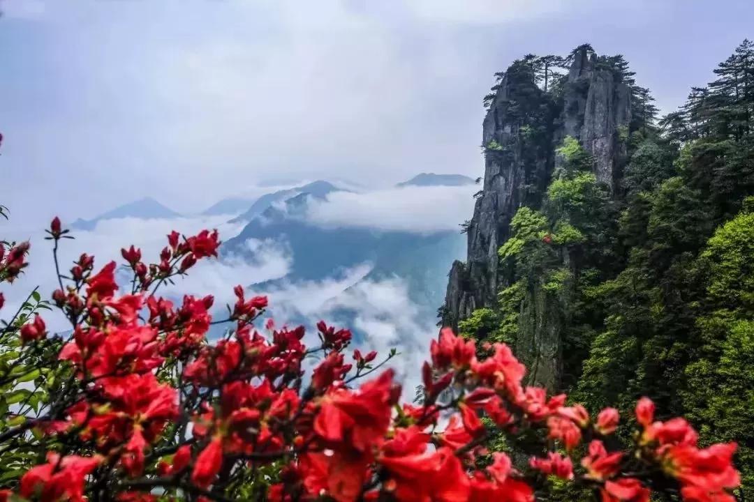 常用成语积累摘抄,二年级下册成语积累大全