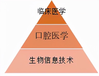 关于2021同济大学综合评价