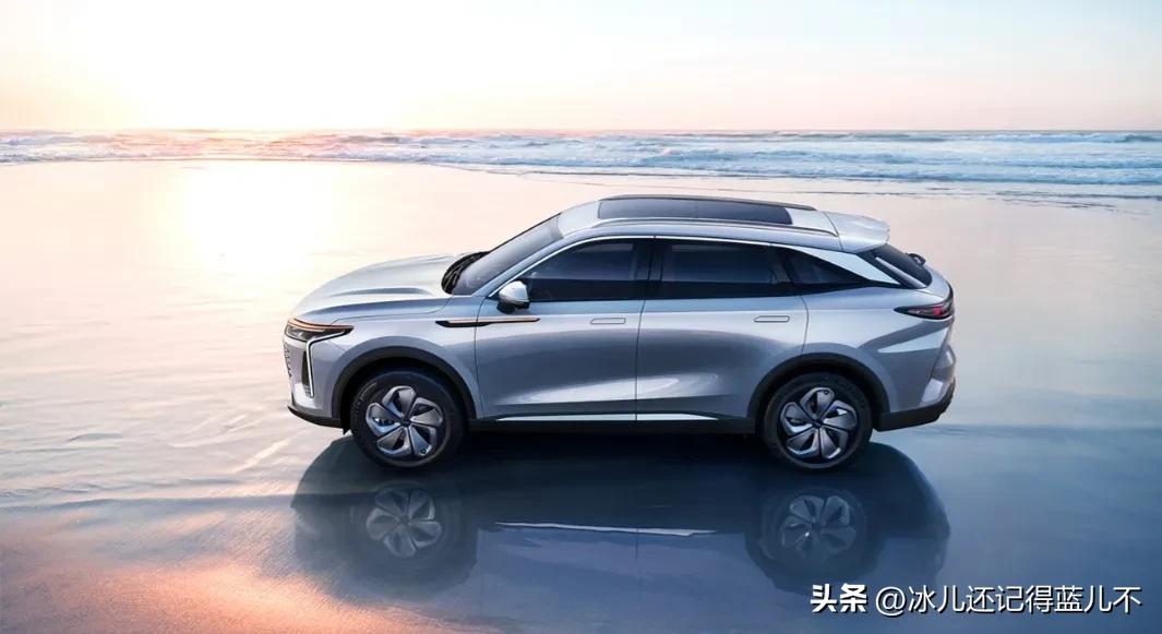 新司机买车流程,新手外地买车怎么来回老家