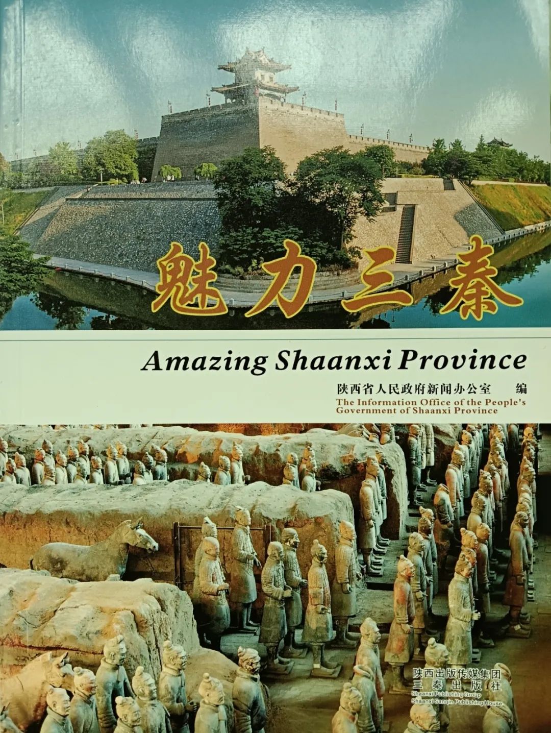 图说我的十年与未来|杜琛:为文学陕军走向世界做出踏实的贡献