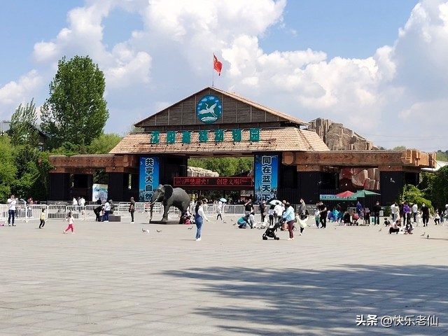 沈阳森林动物园缆车,自驾沈阳森林动物园