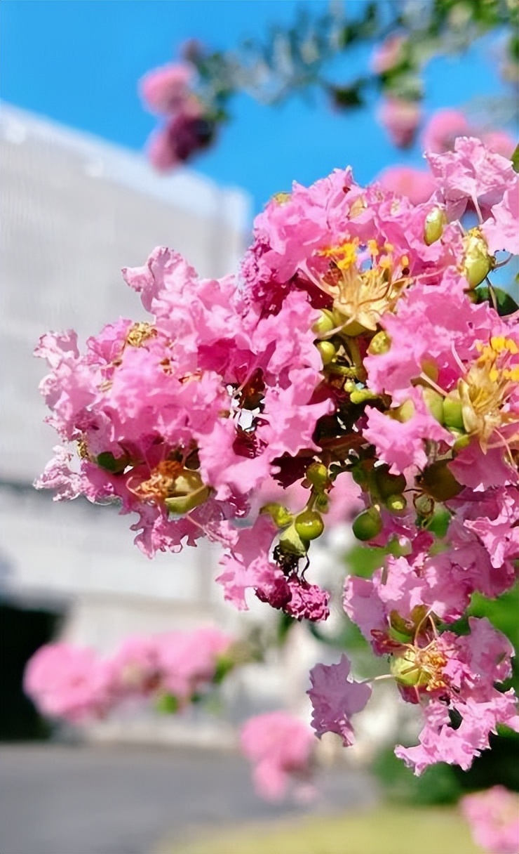 全国生态环境日主题,全国生态日绿水青山就是金山银山