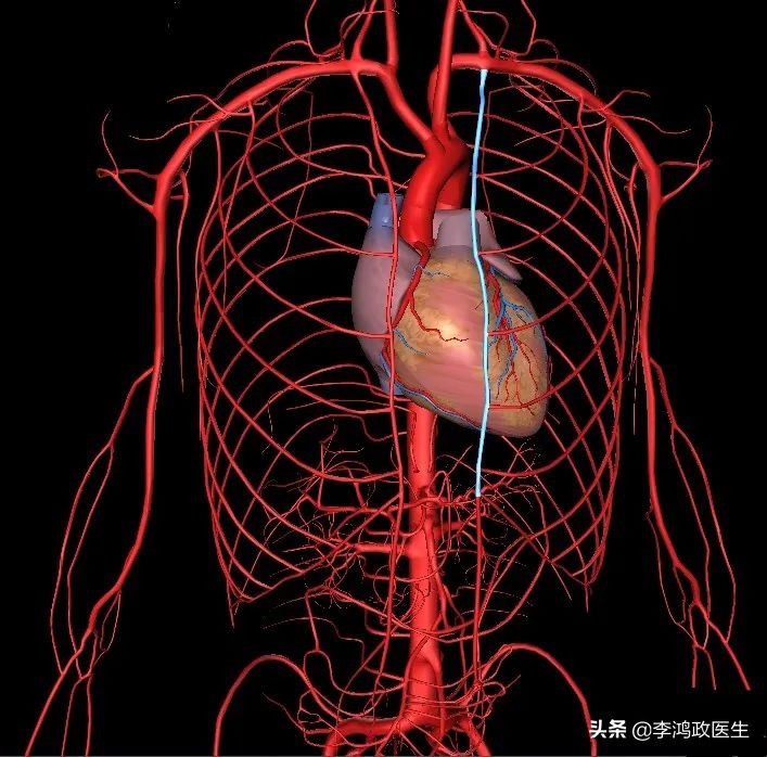 被子弹打中后怎么处理伤口,被子弹打中自己怎么处理
