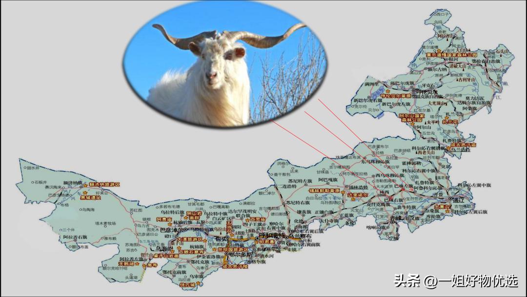 十大奢侈品饰品排行榜,奢侈品围巾品牌价格