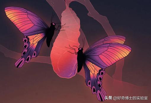 妇科医生为什么要求活检,妇科医生让做活检是什么