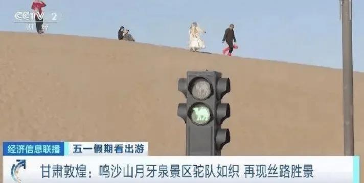 点赞还是*制抵**？敦煌鸣沙山月牙泉景区堵骆驼引发热议