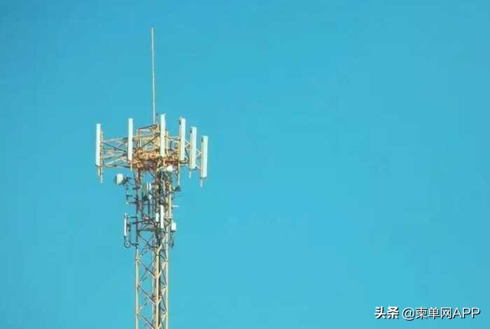 柬埔寨电诈任务,柬埔寨电诈人员