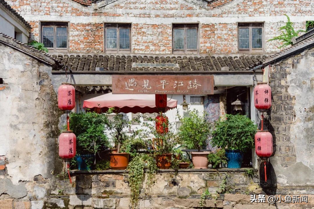 出发！跟着“荷仙姑”寻踪平江路