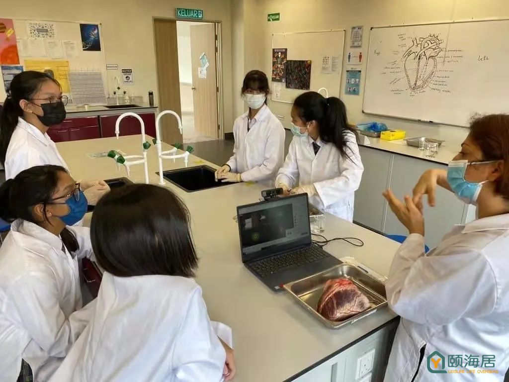 马来西亚国际学校的简介,马来西亚国际学校bkl