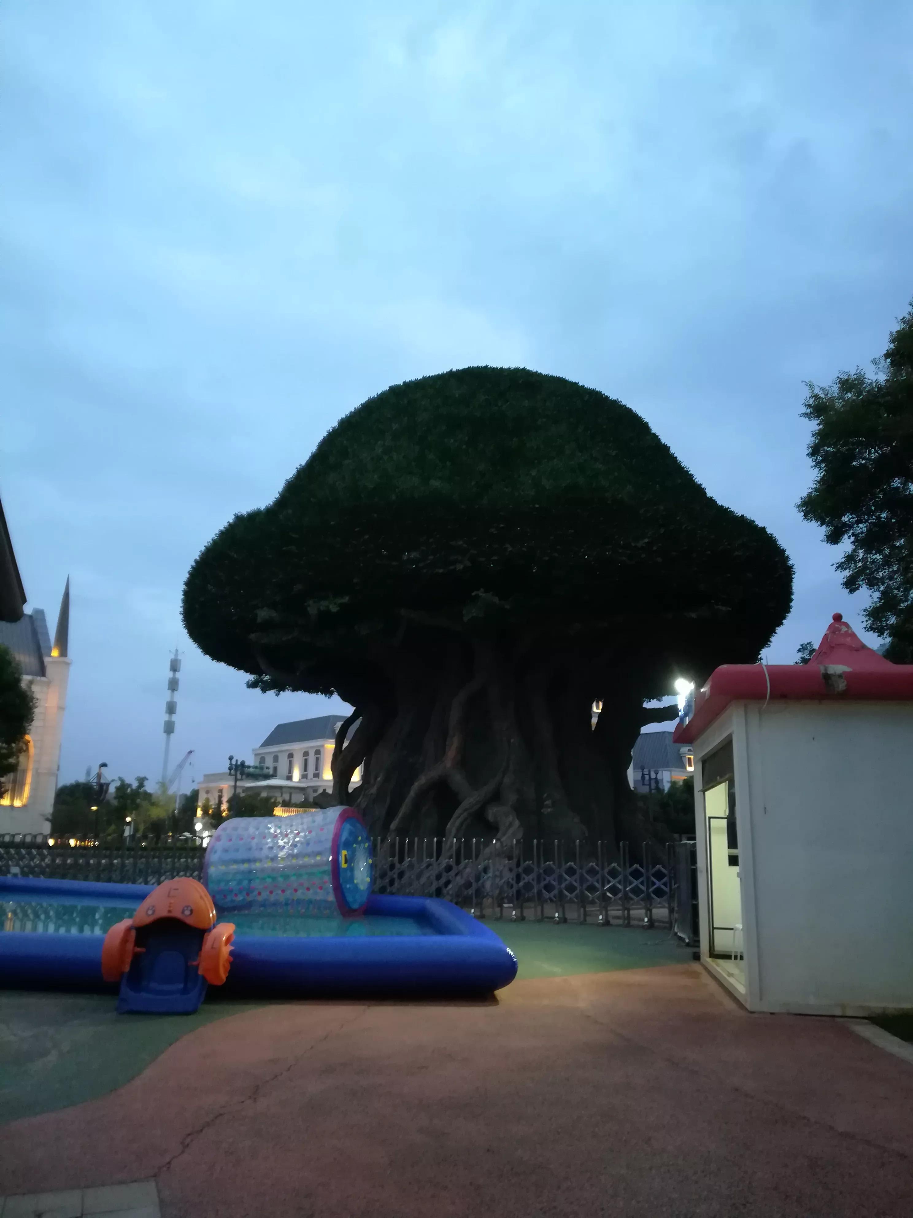 云南省昆明市1903公园