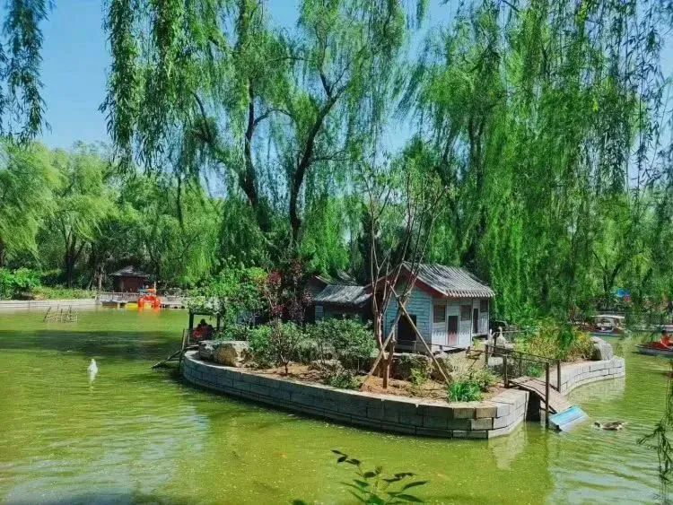 【FENG娱】王佐镇：娱乐+科普+自然，暑假解锁亲子出游新方式！