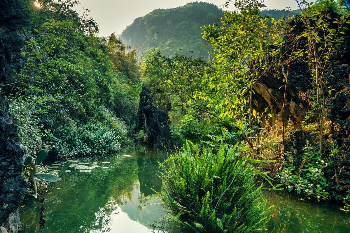 走水钓鲤鱼调漂的正确方法与技巧,崔秉亮讲解野钓走水的调漂方法