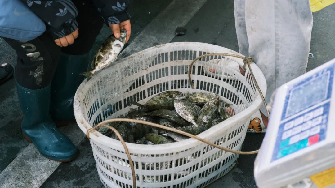 你根本没有去过侨港