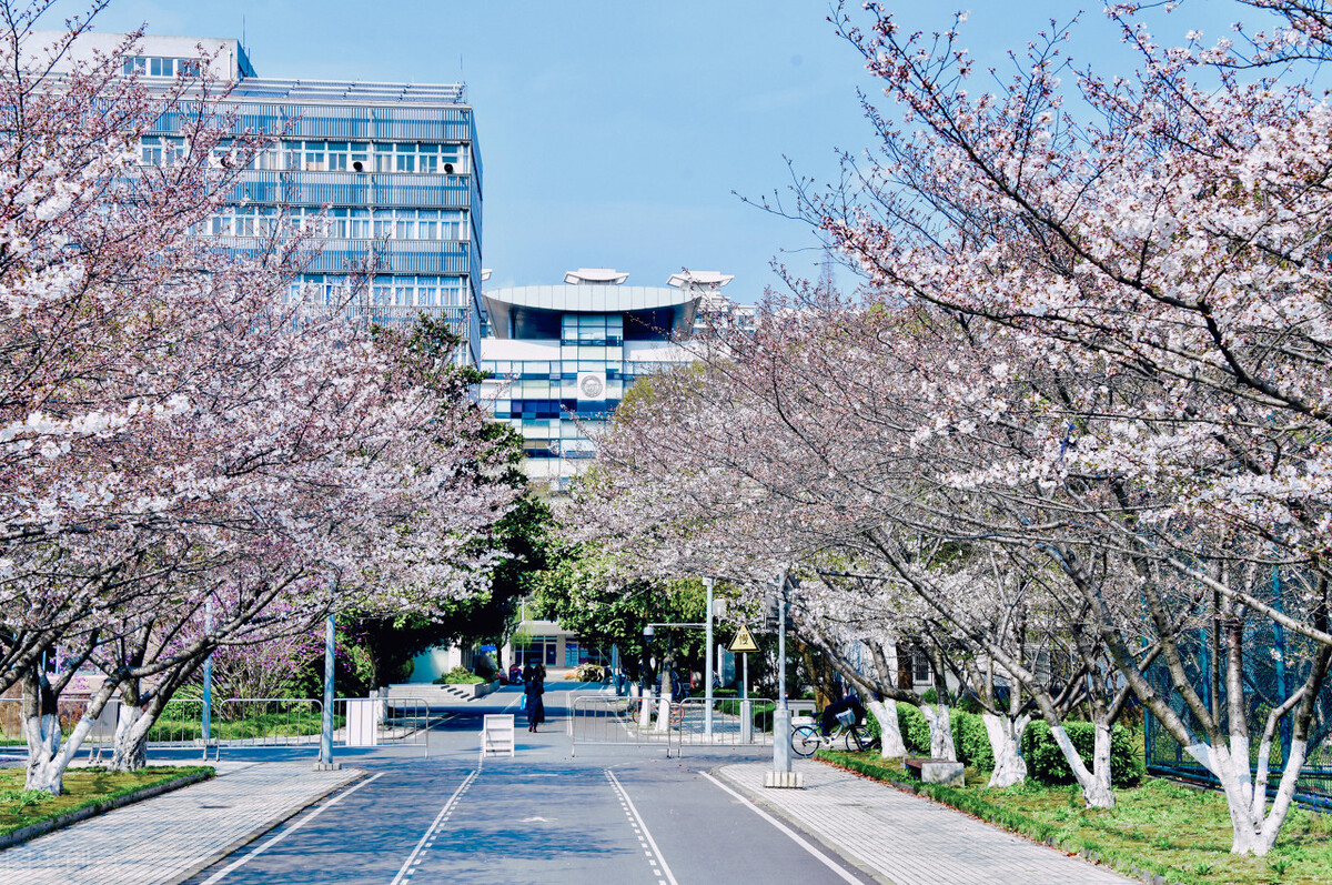 上海艺术学院有哪些专业适合女生,上海市哪几所大学有艺术专业