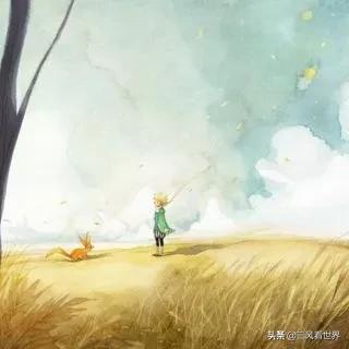 传奇飞行员罗伯特,传奇的飞行员