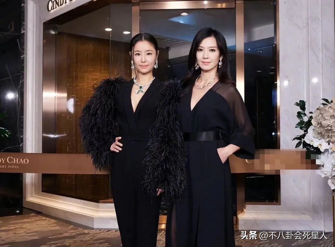 40岁秦海璐和刘涛对比,秦海璐刘涛合影照