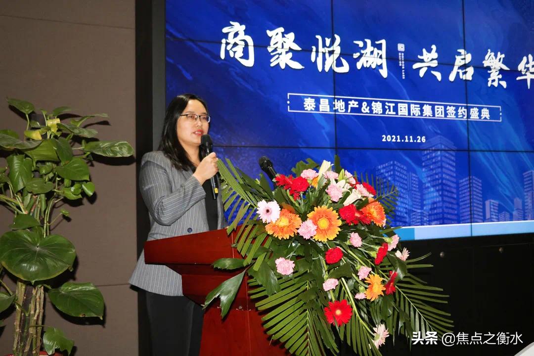 衡水大案件,衡水大事件