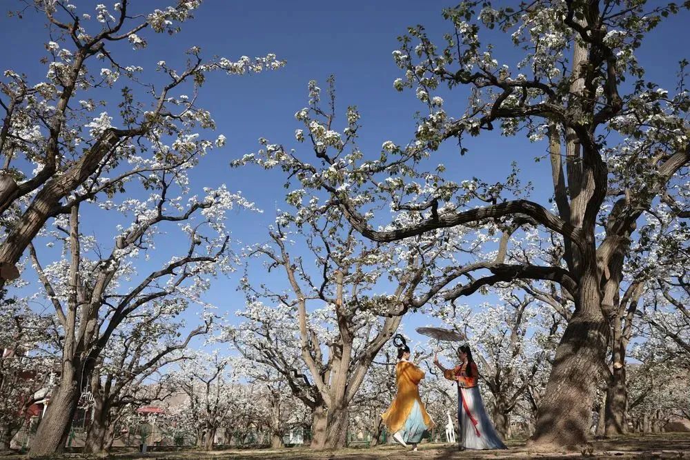 常新常玩！“云旅游”促区域文旅产业“营销”变“赢销”