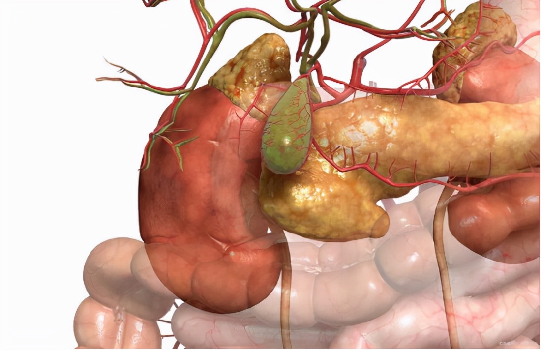 一喝水就不尿是肾不好吗,一喝水尿就多是正常的吗