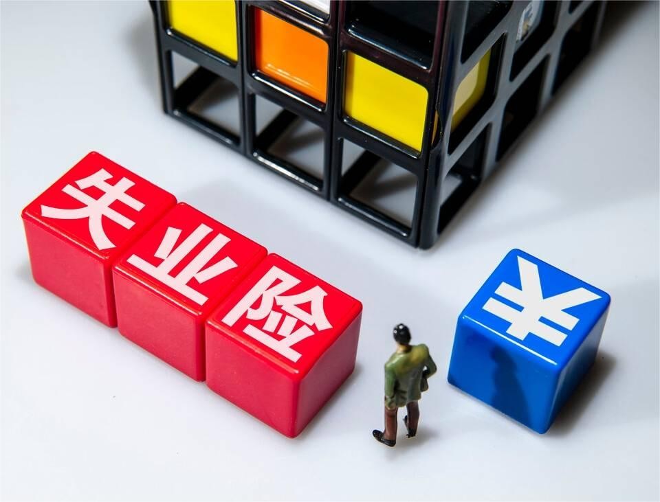 失业保险如何发挥促进就业的功能,失业保险的实施方案有哪些