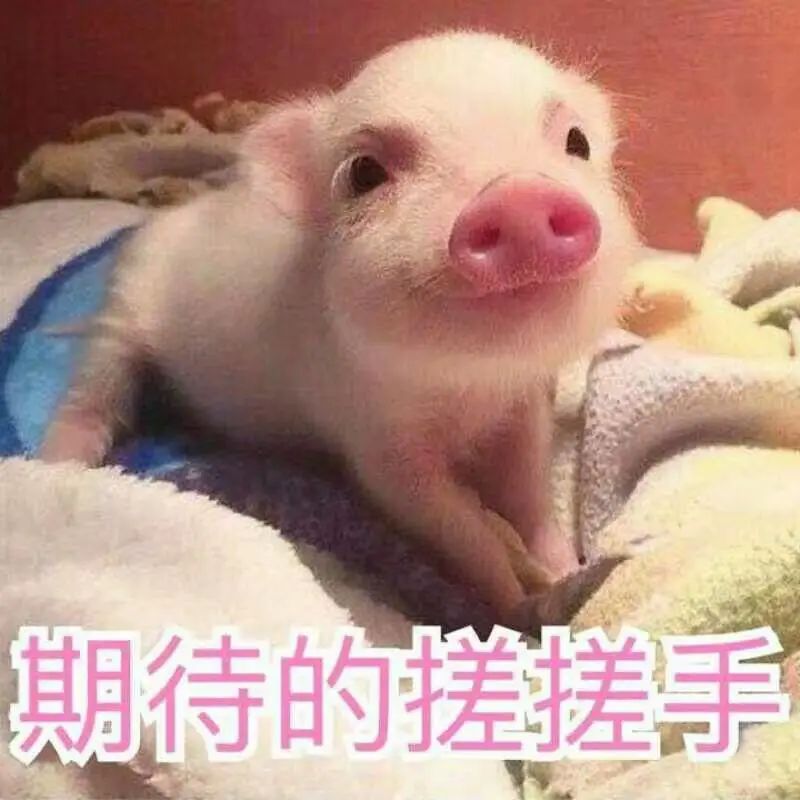 广东最美大学录取通知书,2021广东各大学录取通知书