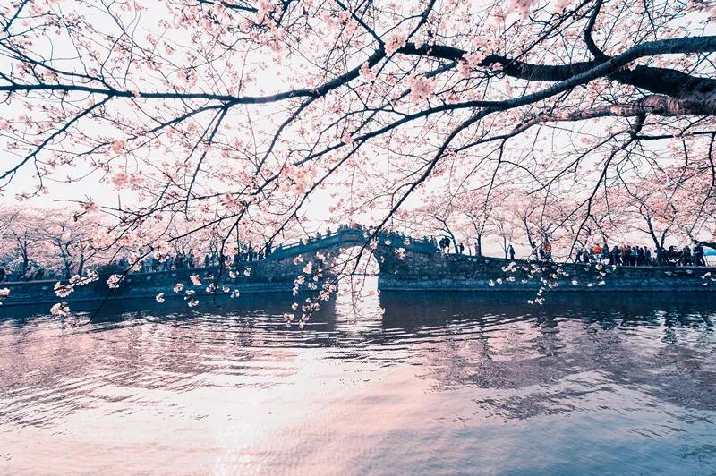 关于描写春天绵绵细雨的古诗词,关于春天的古诗词三年级100首