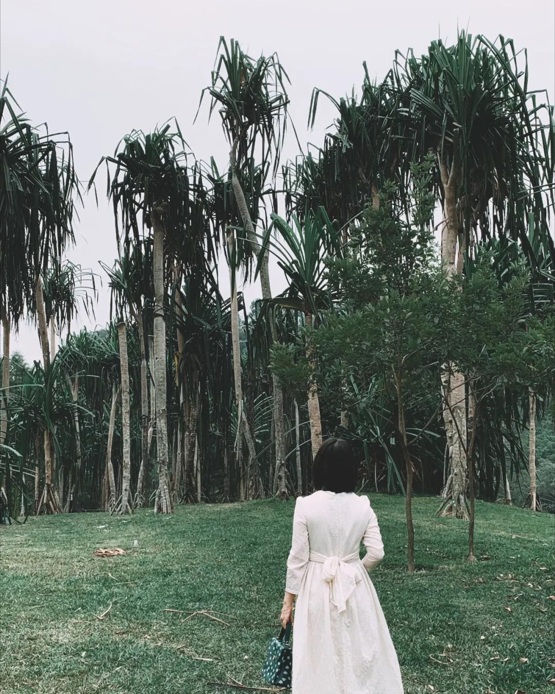 广州比较悠闲安静的地方,广州悠闲看风景的地方