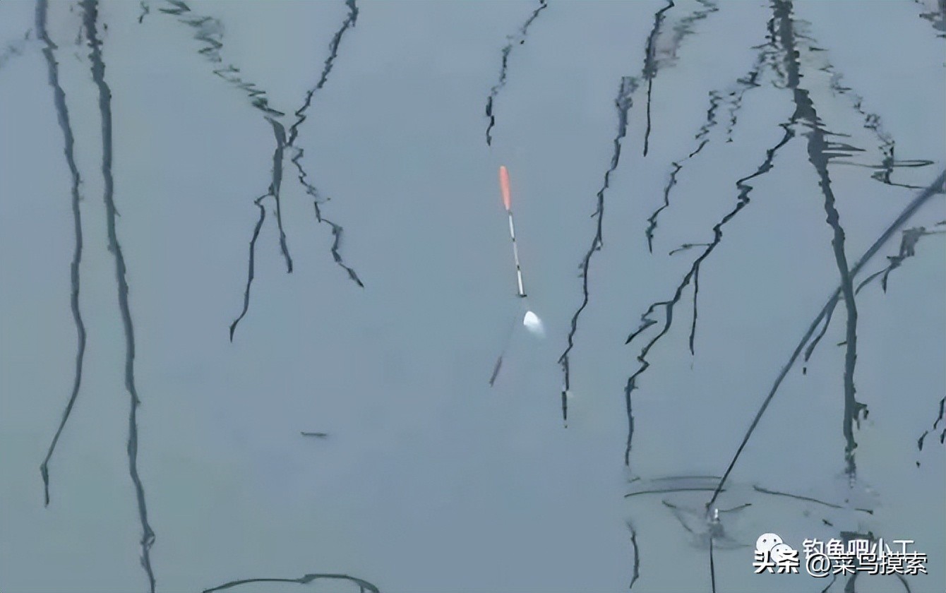 带饵调平水钓二到四目视频,带钩调四目钓二目怎么调