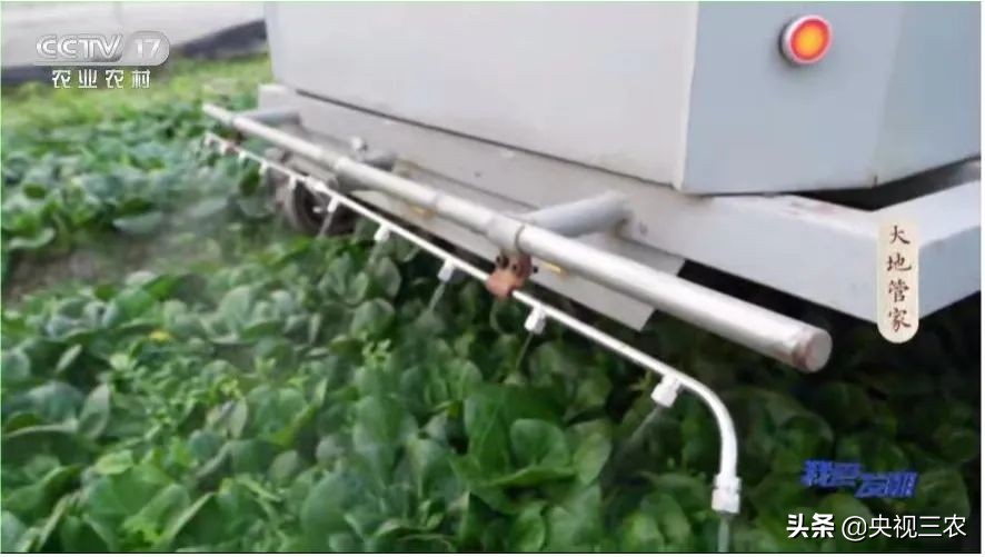 我爱发明|了不起的创造力,正是乡村振兴的“新势力”