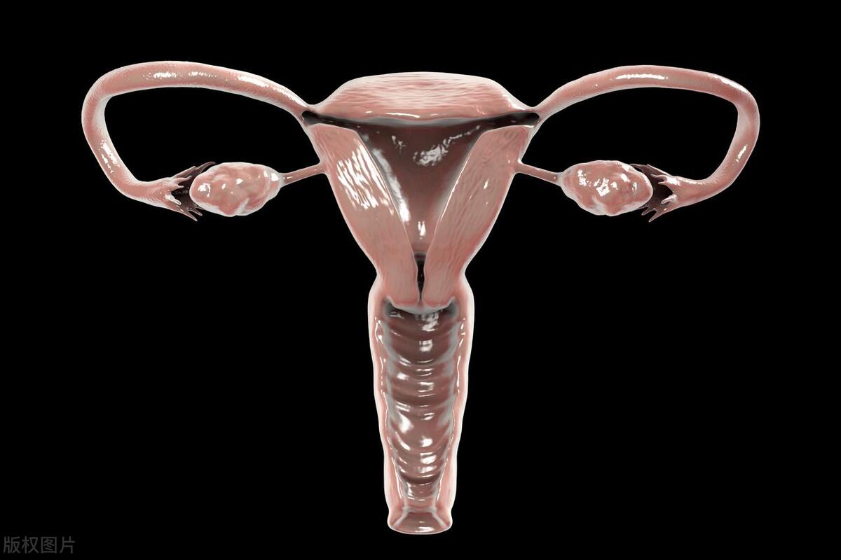 女性身体发臭异味用什么药,女性异味发臭怎么解决